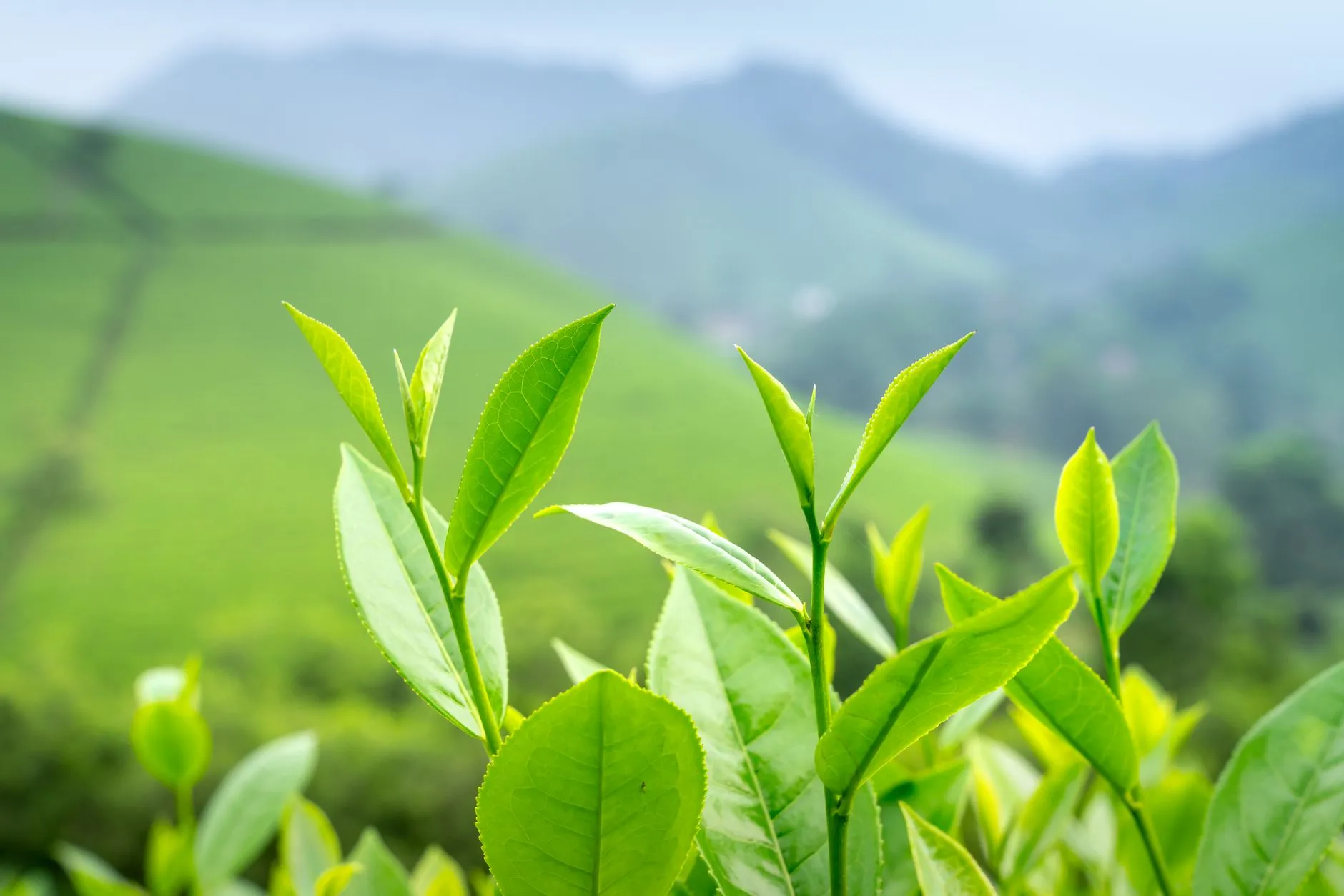 深圳科技美容皮肤管理常见误区与科学解析