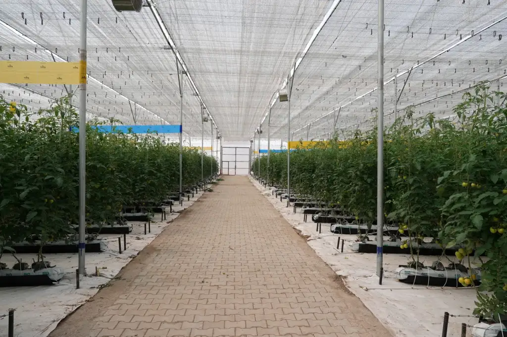 深圳美容科�无创技术发展趋势与临床应用前景分析