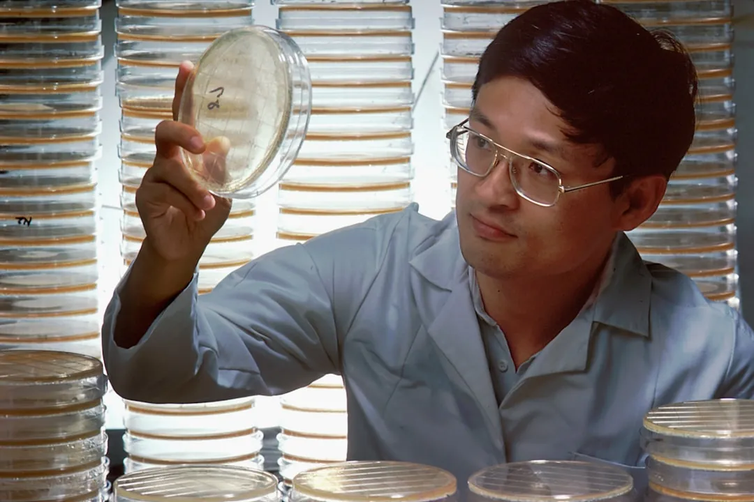 美容科�项目实施方案设计及常见问题规避策略