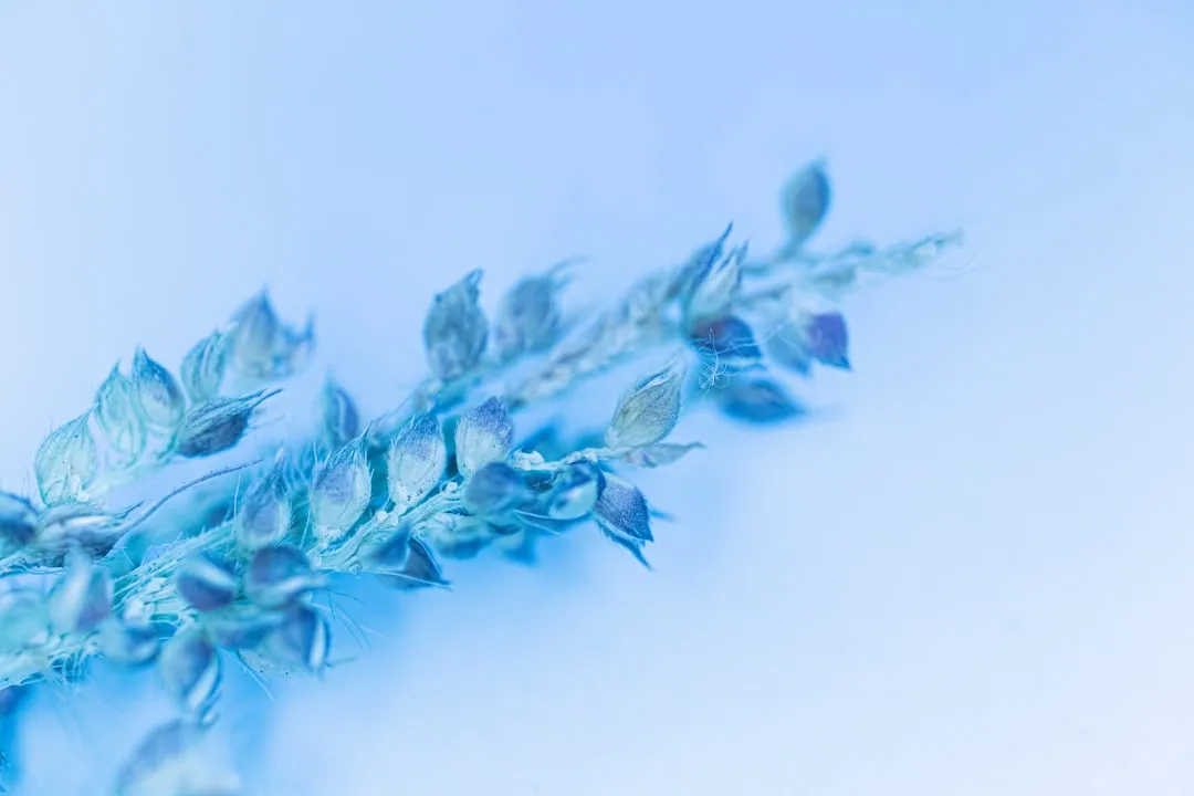 深圳零痕科技美容：光电类皮肤管理设备技术优势与适用场景解析