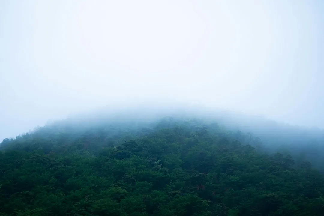 深圳皮肤管理技术新趋势：从传统护理到科技美容的转型路径
